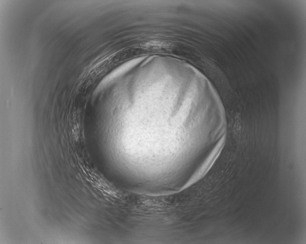 X0000085731015200703301355