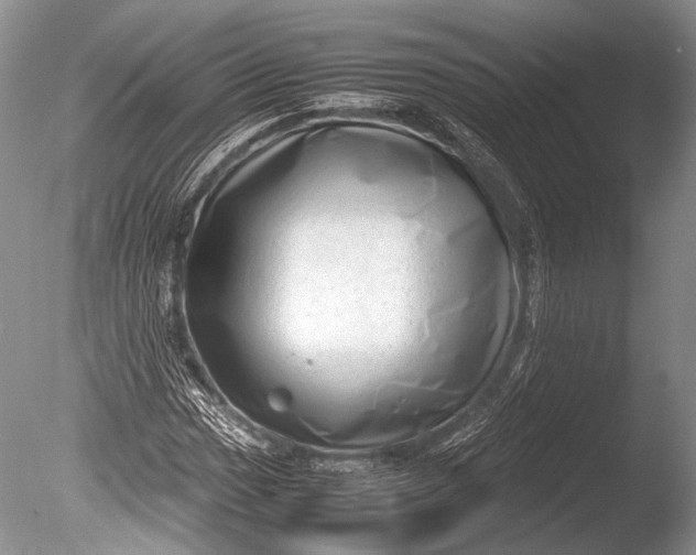 X0000085731017200703301355