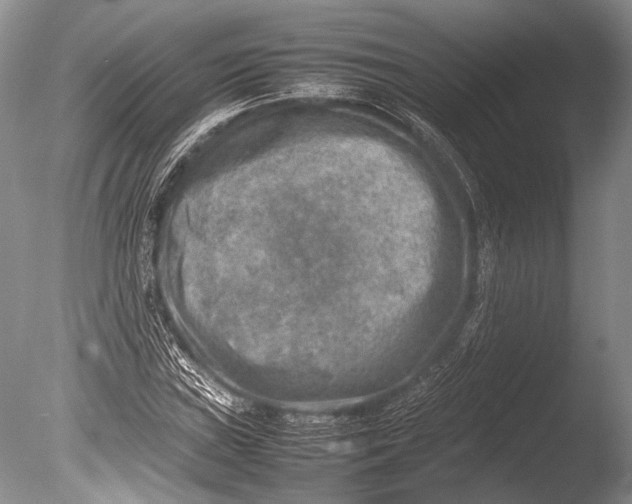 X0000085731019200703301356