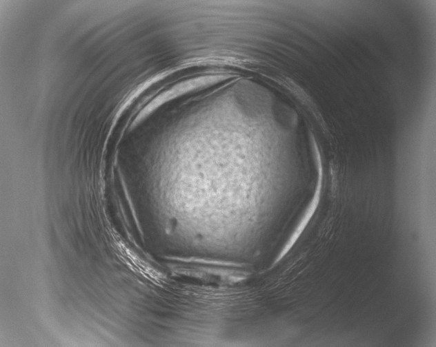 X0000085731020200703301356