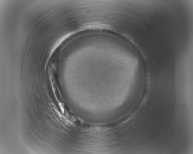 X0000085731022200703301356