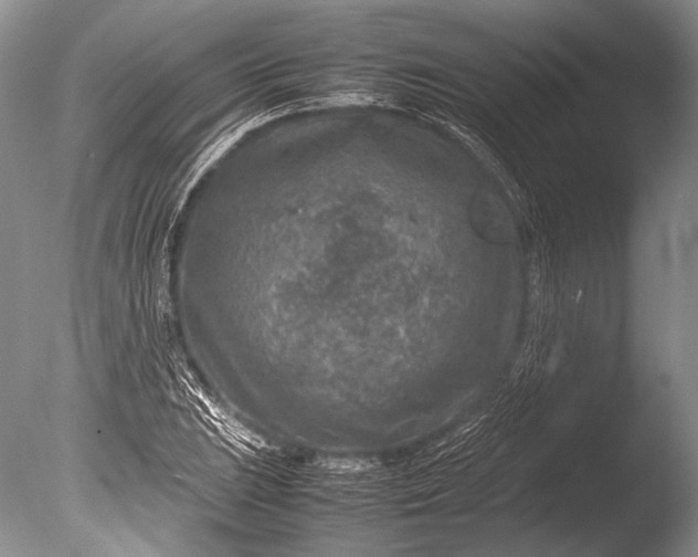 X0000085731023200703301356