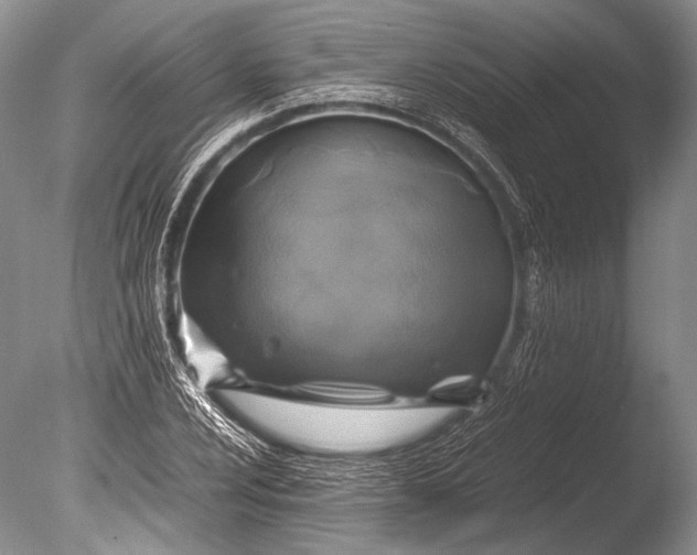 X0000085731024200703301356