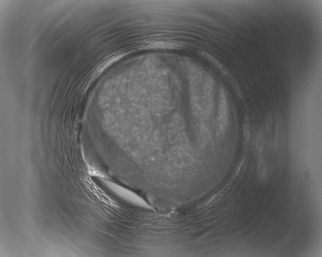 X0000085731025200703301356