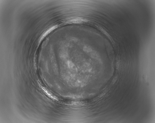 X0000085731026200703301356