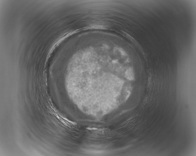 X0000085731027200703301356