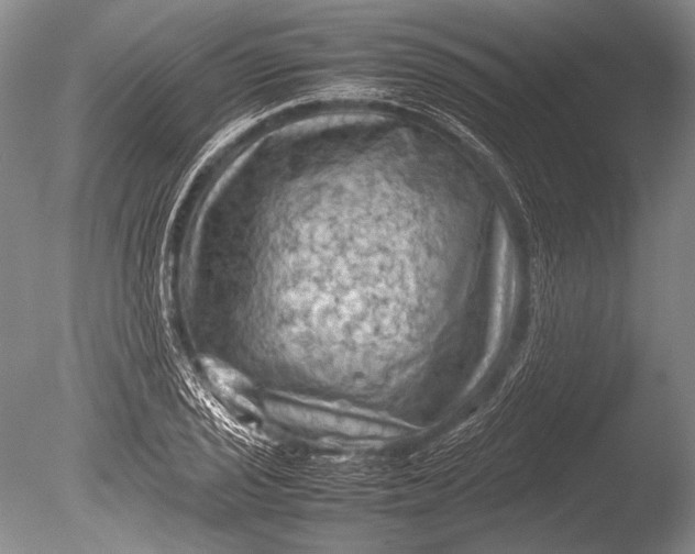 X0000085731029200703301356