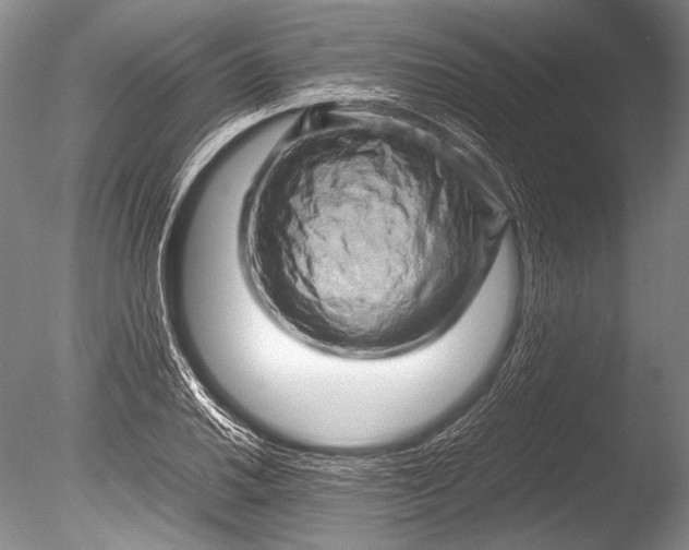 X0000085731030200703301356