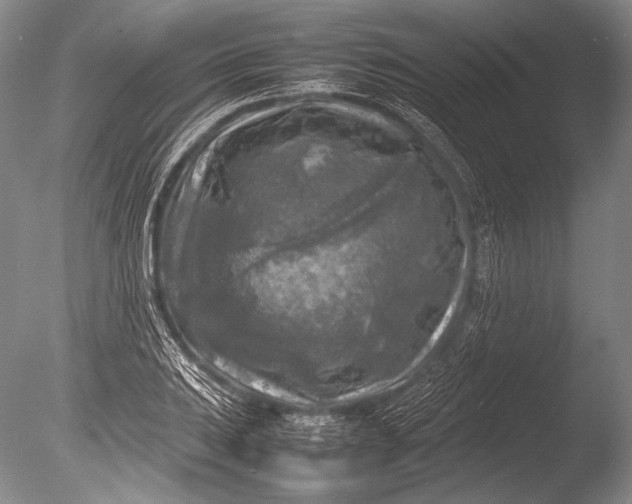 X0000085731031200703301356