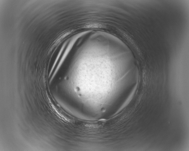 X0000085731033200703301356