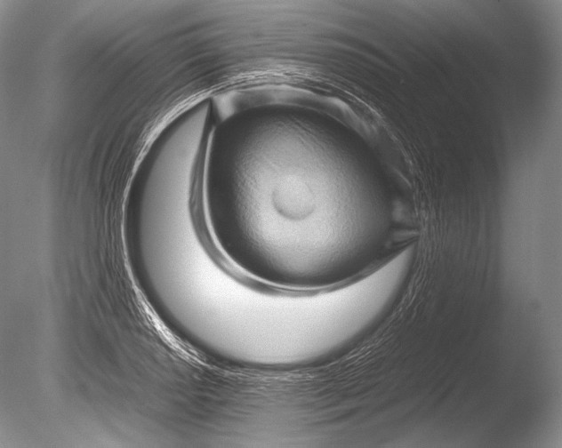 X0000085731034200703301356