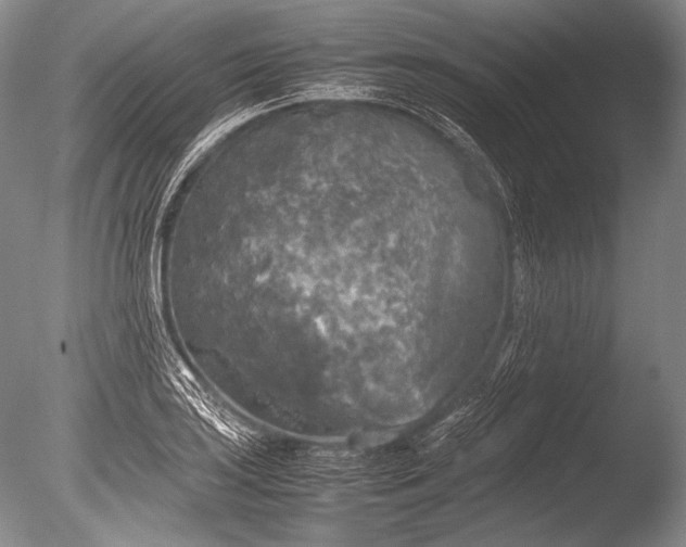 X0000085731035200703301356