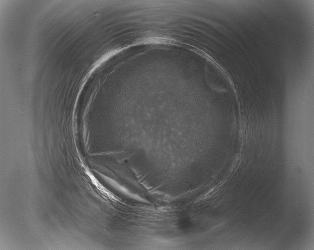 X0000085731037200703301356