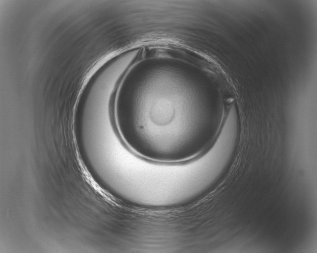 X0000085731038200703301356