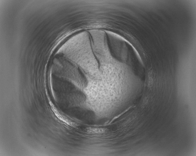 X0000085731039200703301356