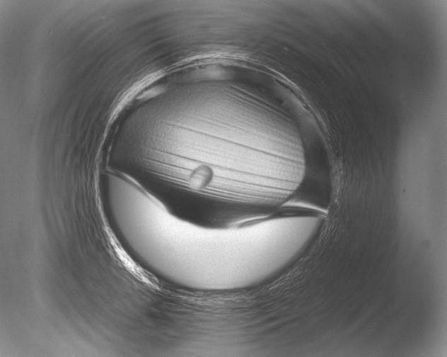 X0000085731042200703301356