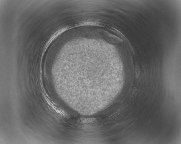 X0000085731043200703301356