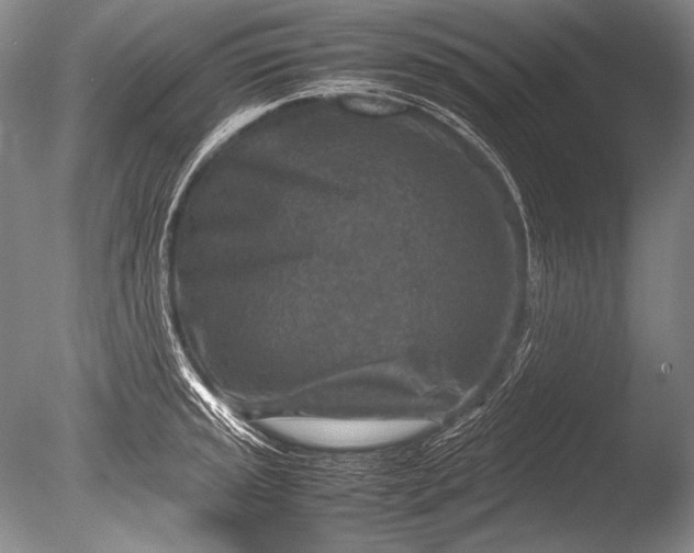 X0000085731045200703301356