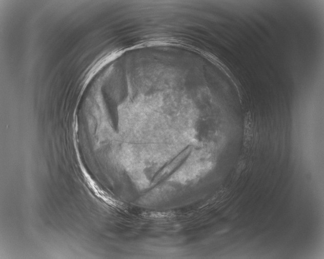 X0000085731047200703301356