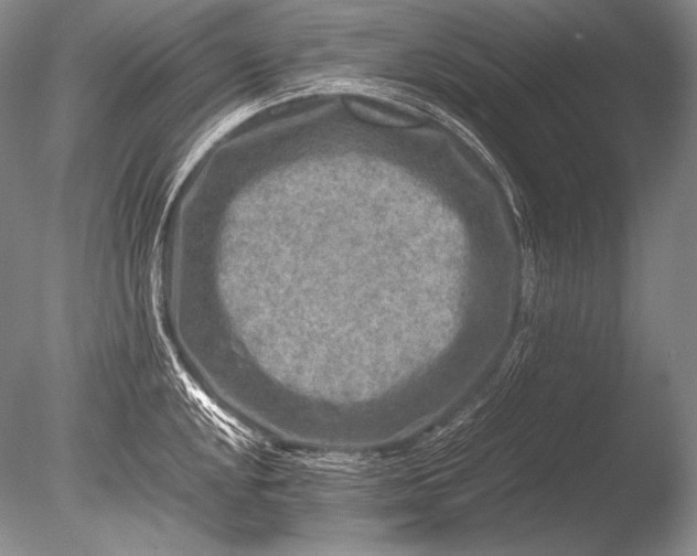 X0000085731048200703301356