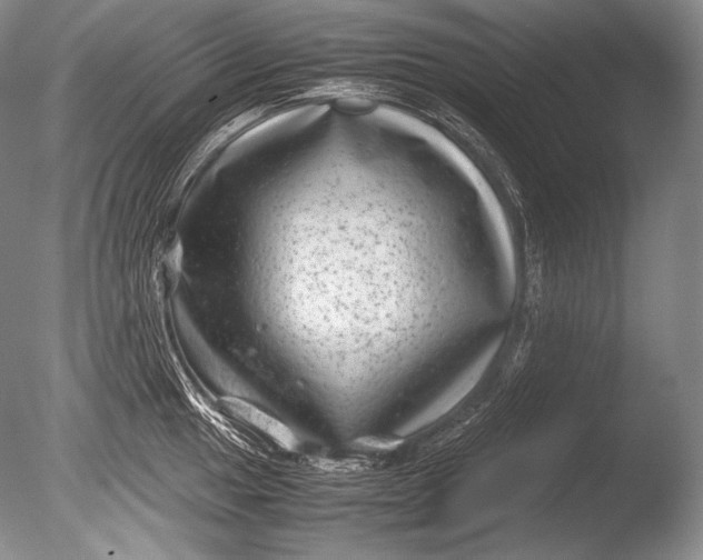 X0000085731049200703301356