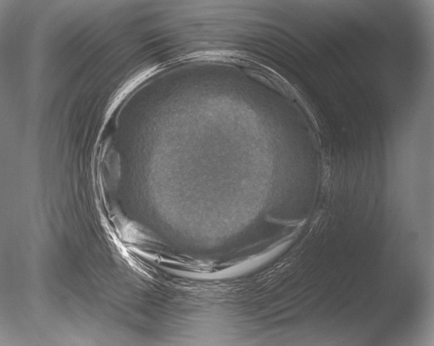 X0000085731050200703301356