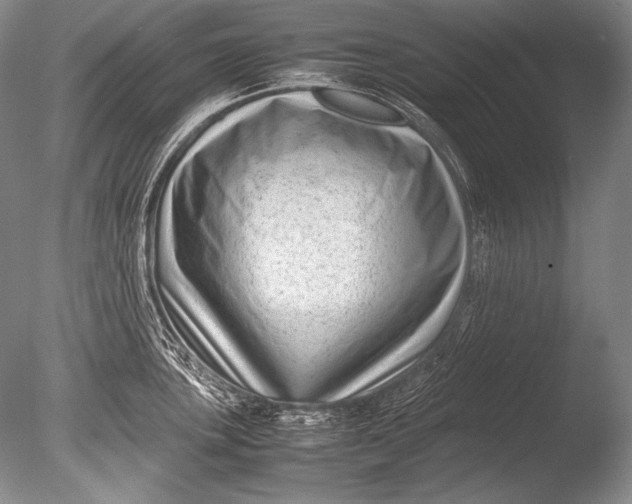 X0000085731051200703301356