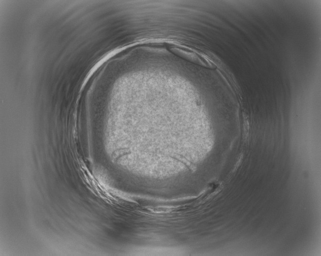 X0000085731052200703301356