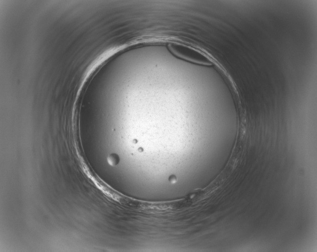 X0000085731053200703301356