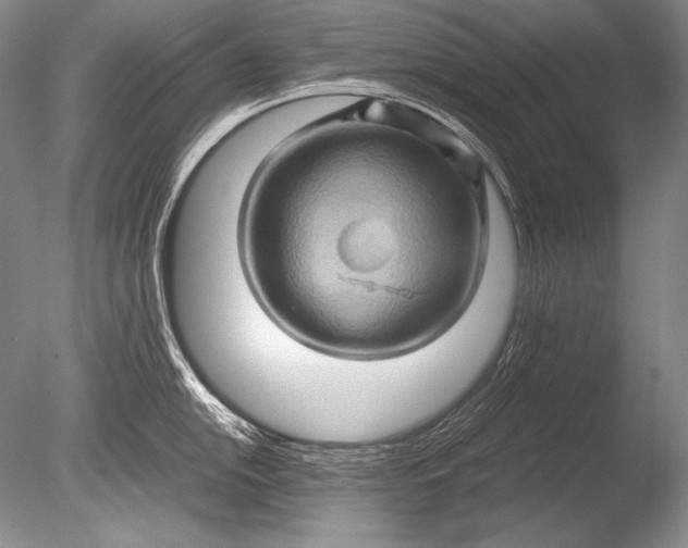 X0000085731054200703301356