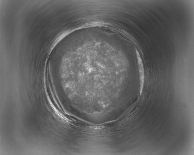 X0000085731055200703301356