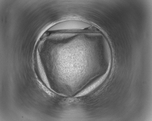 X0000085731056200703301356