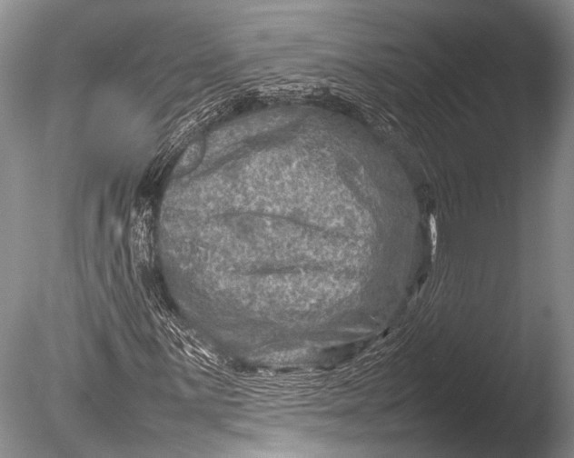 X0000085731059200703301355