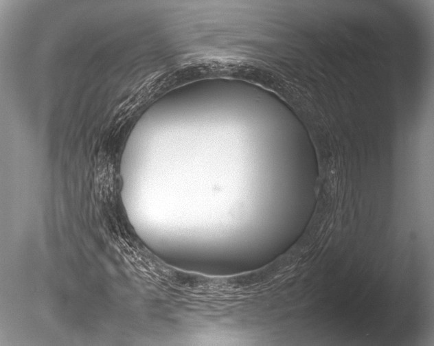 X0000085731061200703301355