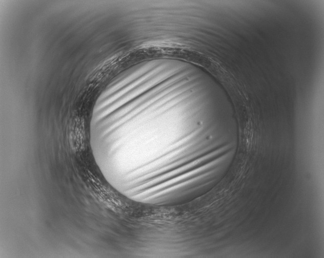 X0000085731062200703301355