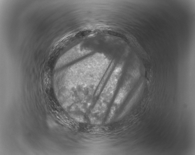 X0000085731063200703301355