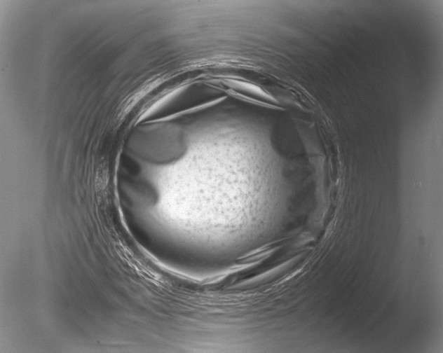 X0000085731065200703301355