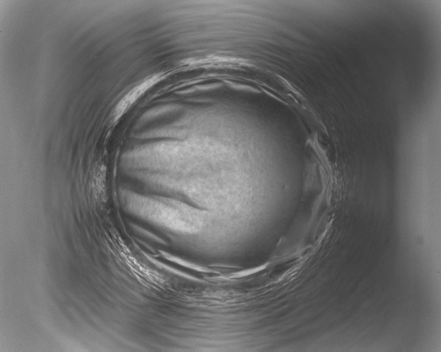 X0000085731066200703301355