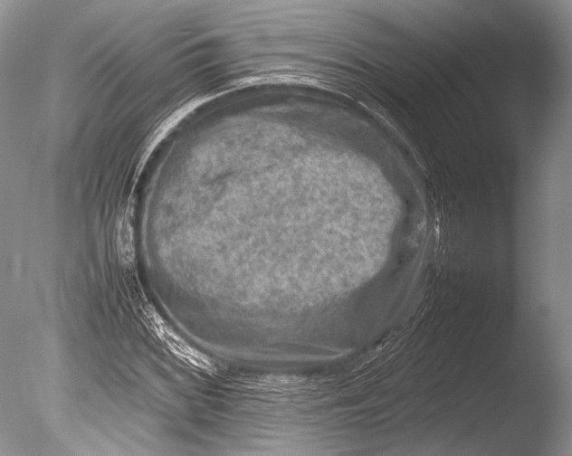 X0000085731068200703301355