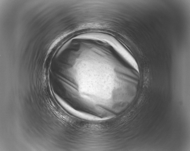 X0000085731070200703301355