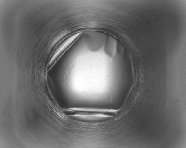 X0000085731073200703301355