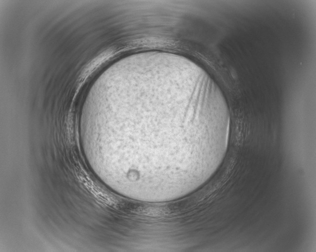 X0000085731074200703301355