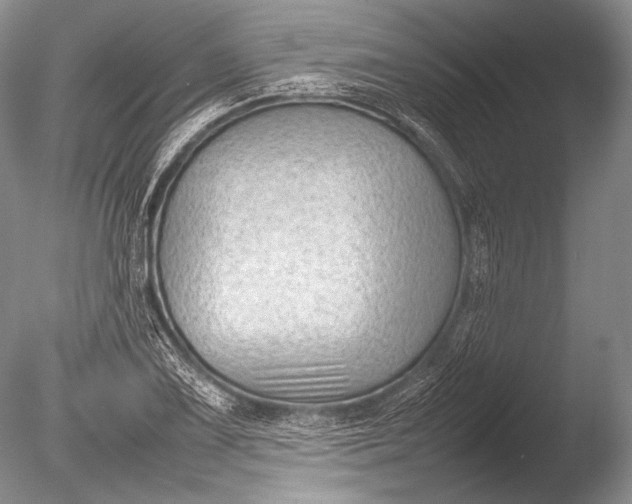 X0000085731075200703301355