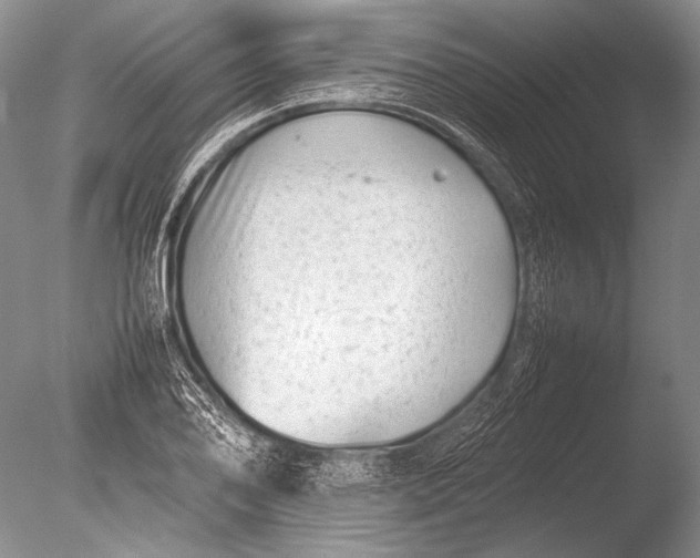 X0000085731078200703301355