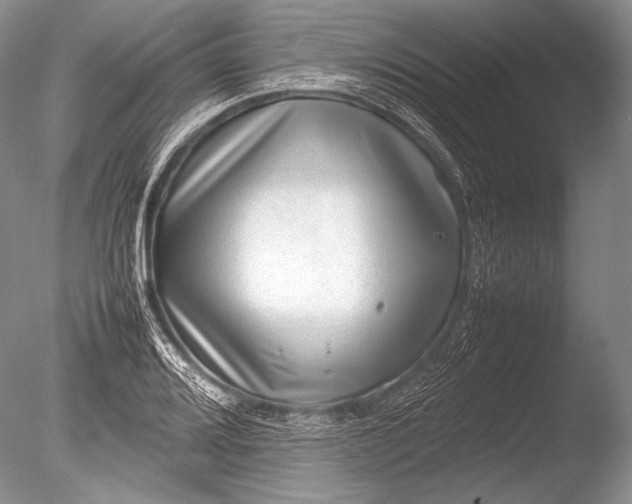 X0000085731080200703301355