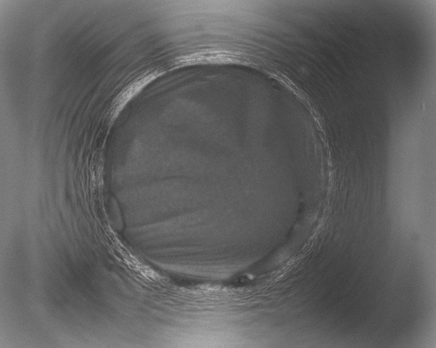 X0000085731081200703301355