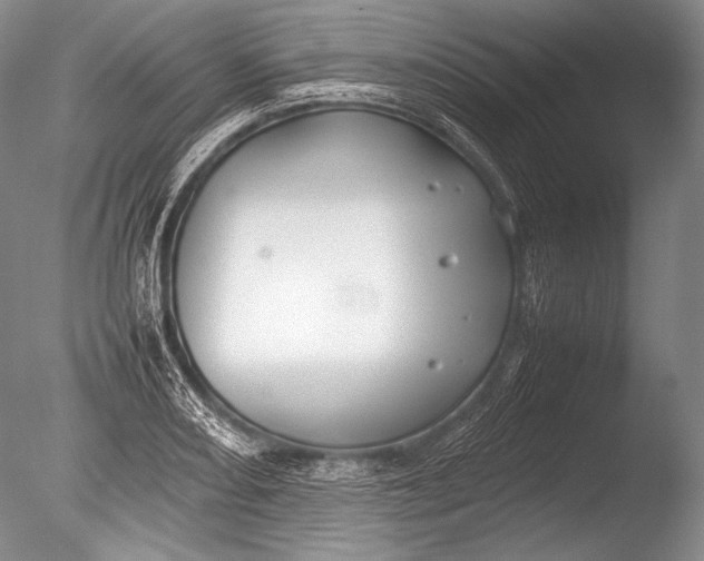 X0000085731082200703301355