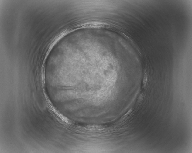 X0000085731083200703301355