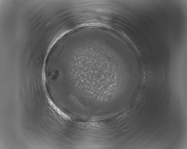 X0000085731084200703301355