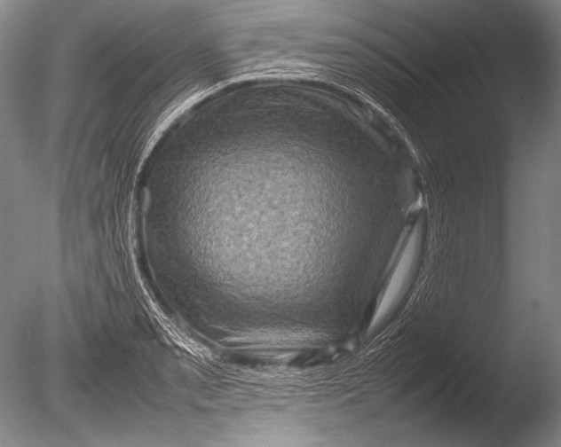 X0000085731085200703301355